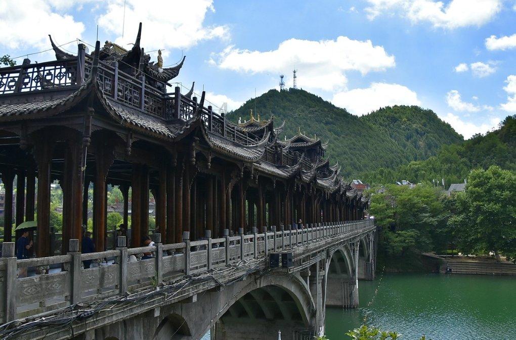 加入地震来临前,哪些动物会提前作出反应?,解锁知识星球的无限可能!